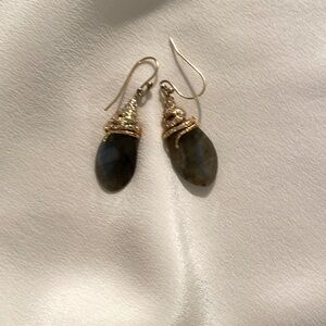 Alexis Bittar lucite raindrop earrings